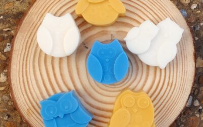 Country Waters Wax Melts and the RSPB