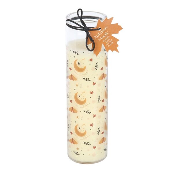 Autumn Magic Pumpkin Spice Tube Candle - Image 2