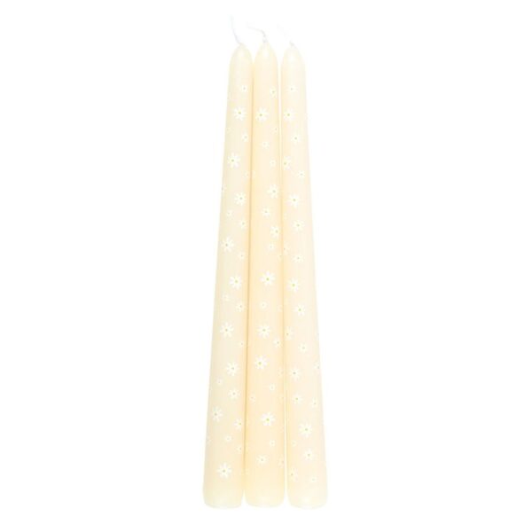 Set of 3 Carrot Patch Daisy Taper Candles - Image 4