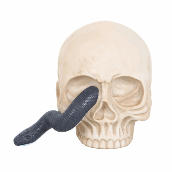 Skull Ornament with Snake - Image 2