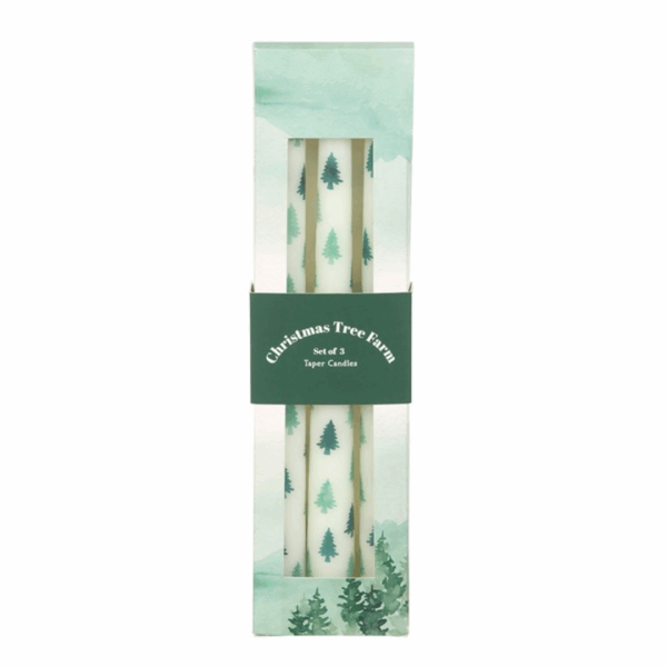 Set of 3 White Fir Tree Taper Candles - Image 2