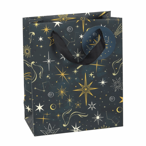 Medium Starry Night Gift Bag - Image 2