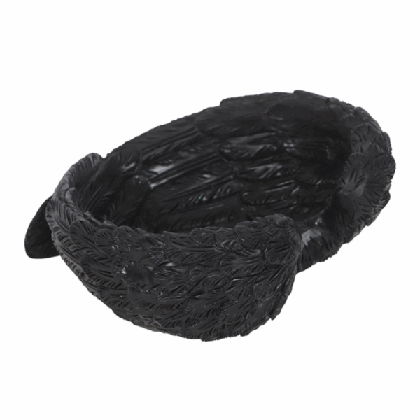 Raven Wings Trinket Dish - Image 3