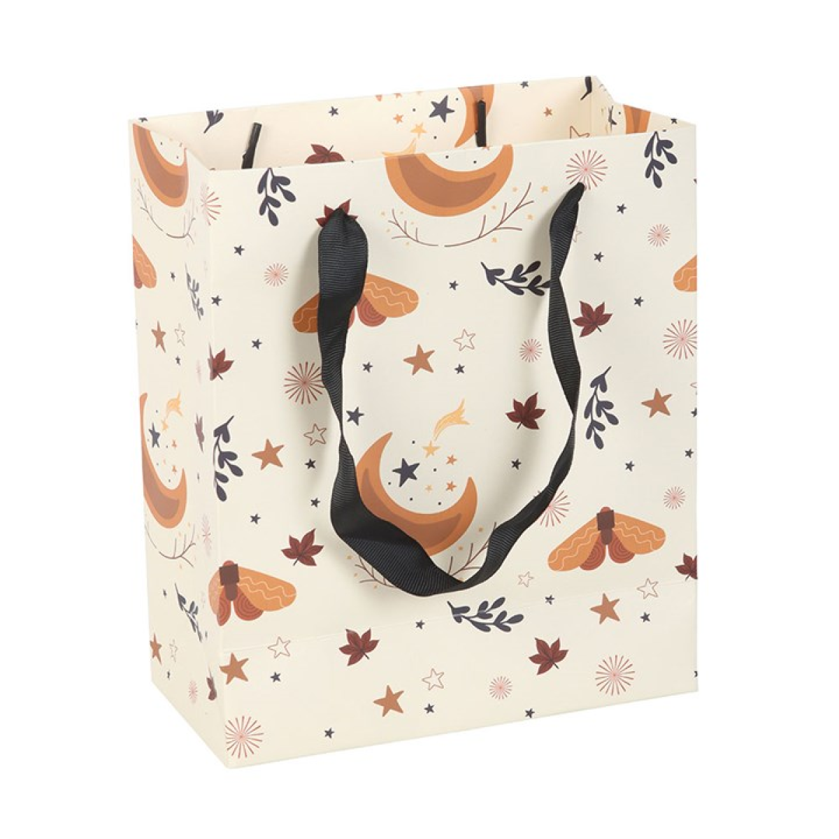 23cm Medium Autumn Magic Gift Bag - Image 3