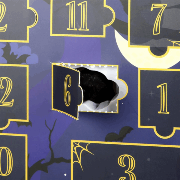 Shelf of Shadows 12-Day Halloween Advent Calendar - Image 3