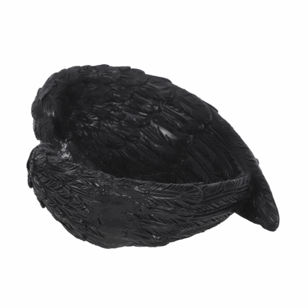 Raven Wings Trinket Dish - Image 4
