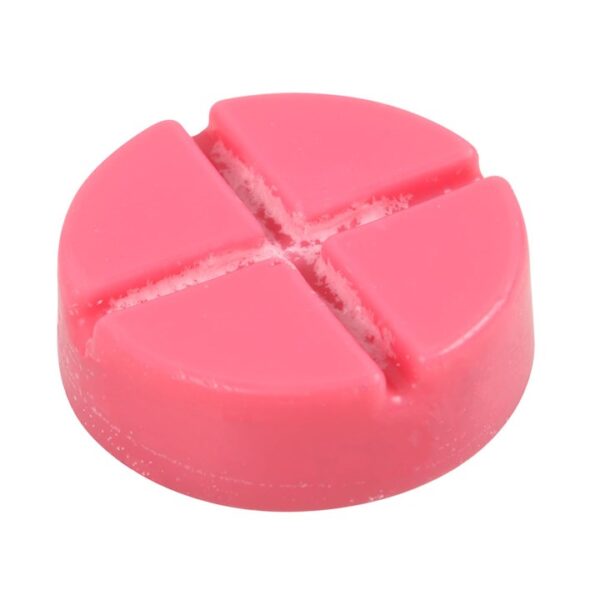 Poison Apple Soy Wax Snap Disc - Image 3