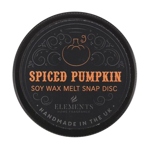 Spiced Pumpkin Soy Wax Snap Disc - Image 2