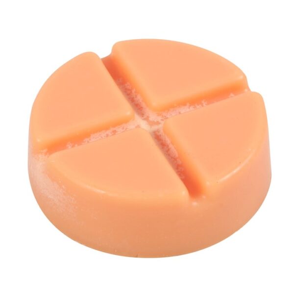 Spiced Pumpkin Soy Wax Snap Disc - Image 3