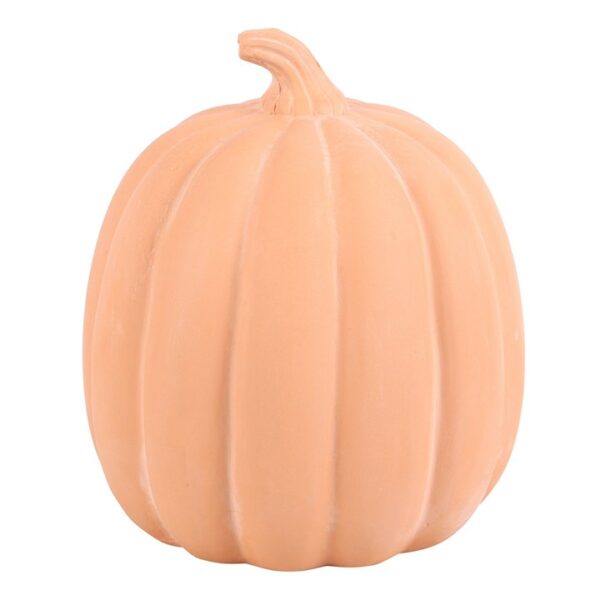 22cm Terracotta Pumpkin Ornament - Image 3