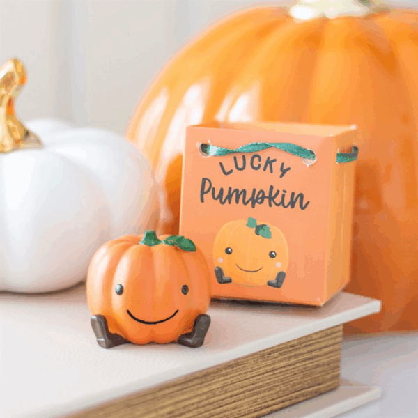 Set of 16 Cute Lucky Pumpkin Ornaments in Display