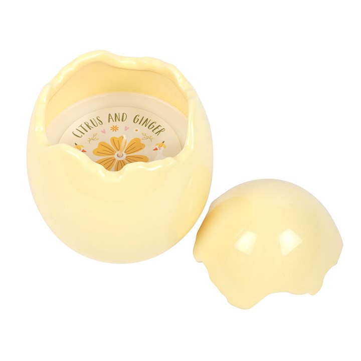 Citrus & Ginger Egg Shaped Candle - Image 2