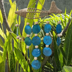 String Fish and Blue Copis Drop