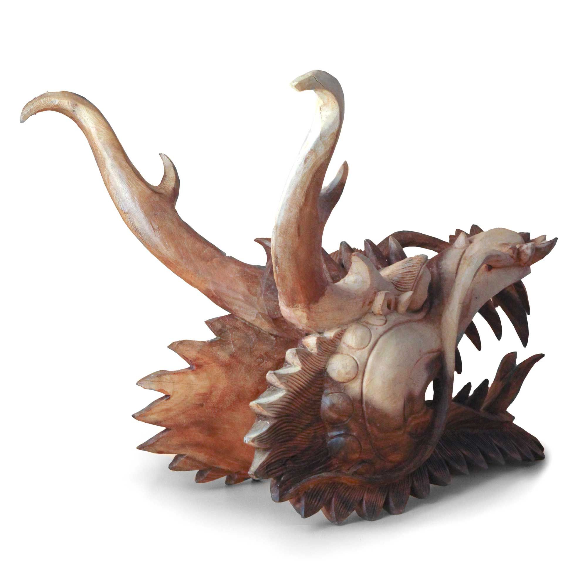 Live Size Dragon Head Carving - 30cm - Image 4