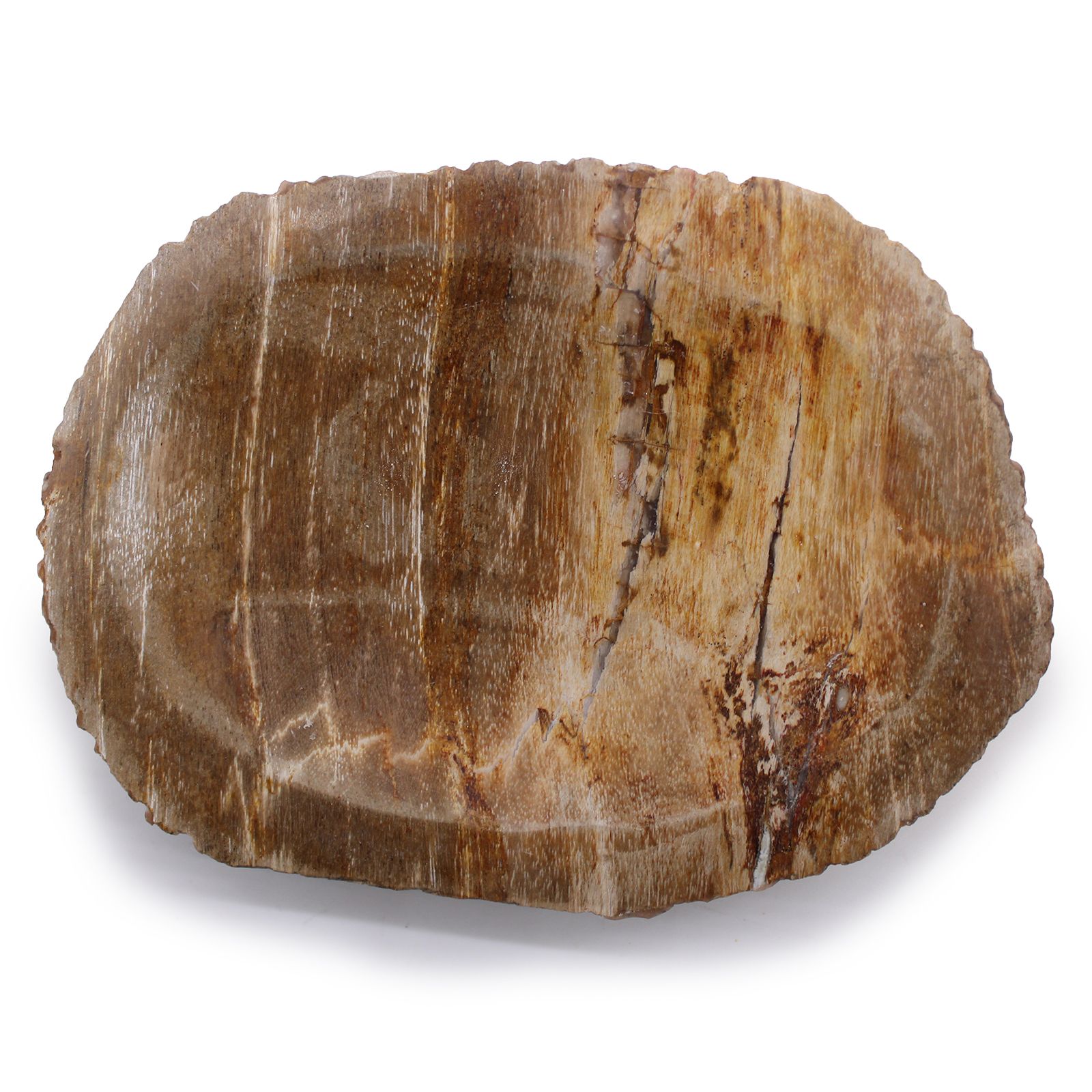 Petrified Wood Brown Soap Dish - Image 2