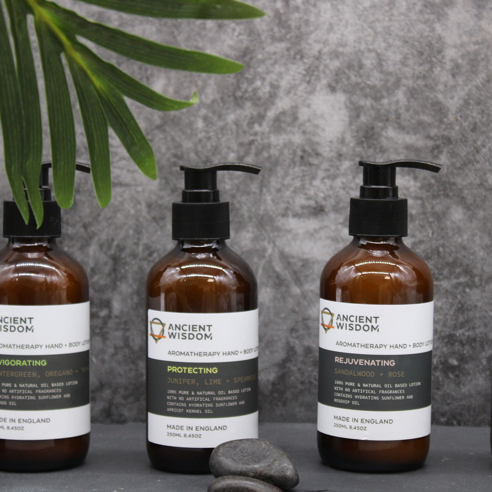 Tangerine, Ylang & Patchouli Hand & Body Lotion 250ml - Image 3