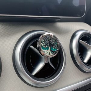 Car Diffuser Kit - Angel Wings - 30mm