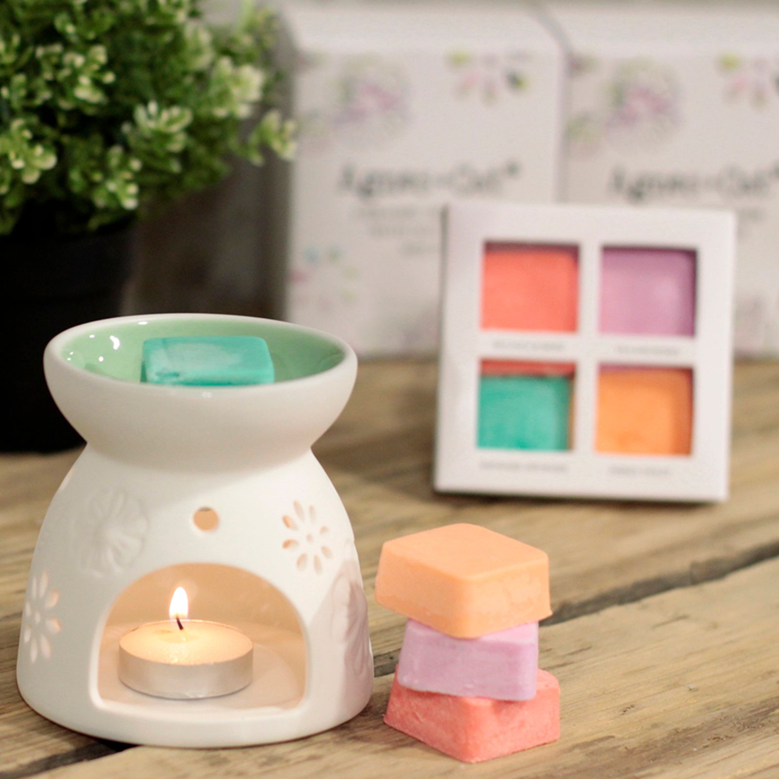 Wax Melter with Four Soy Wax Melts - Image 11