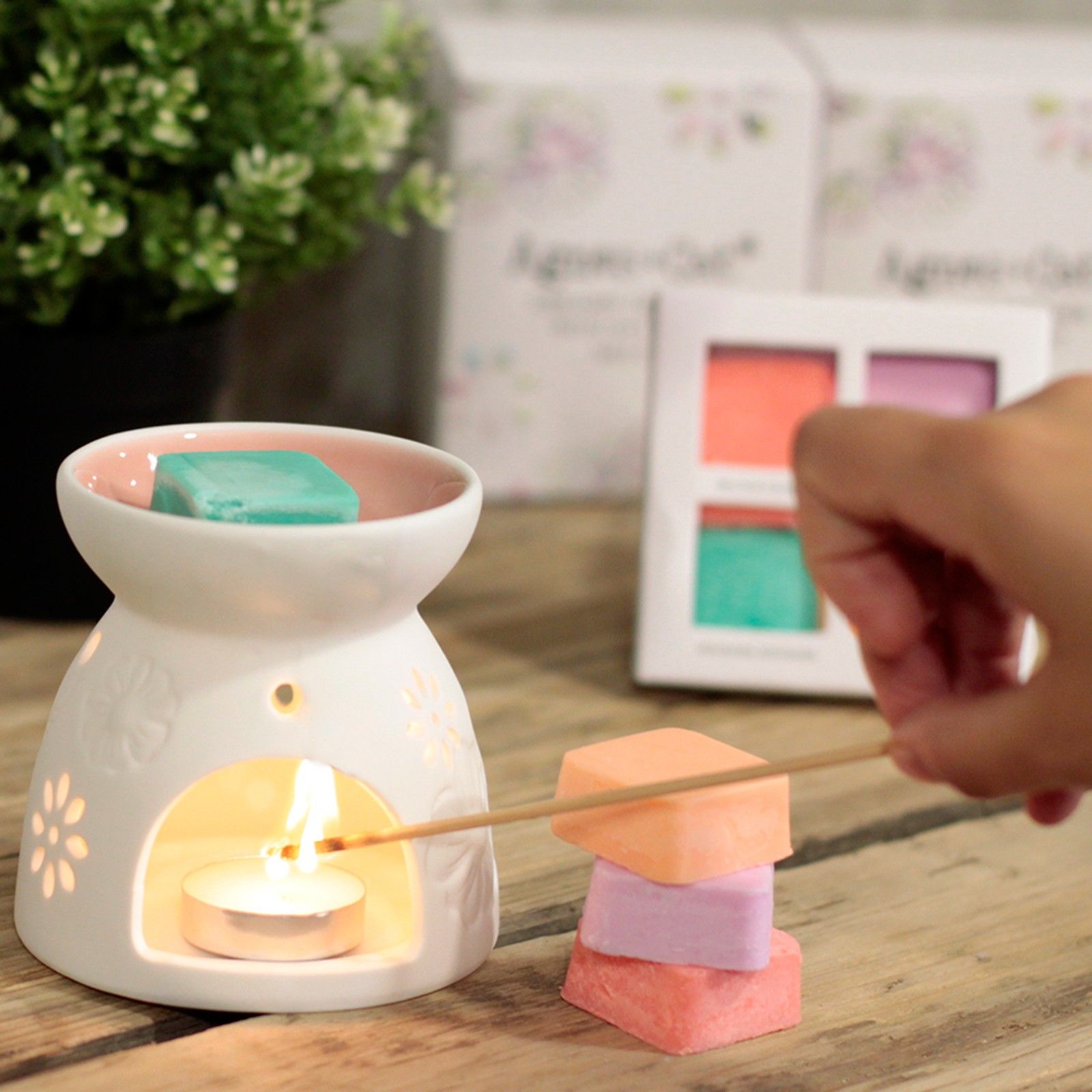 Wax Melter with Four Soy Wax Melts - Image 21