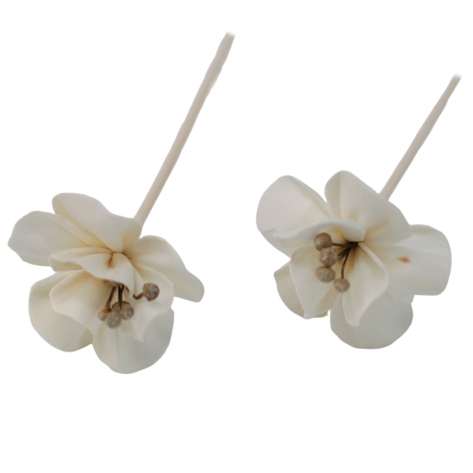 Natural Diffuser Flowers - Lily on Reed - Image 3