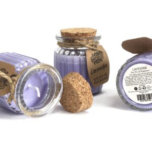 Winter Berry Soy Pot of Fragrance Candles