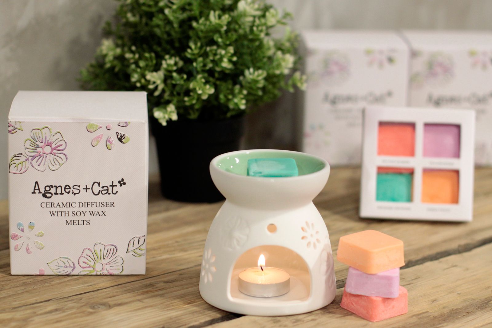 Wax Melter with Four Soy Wax Melts - Image 4