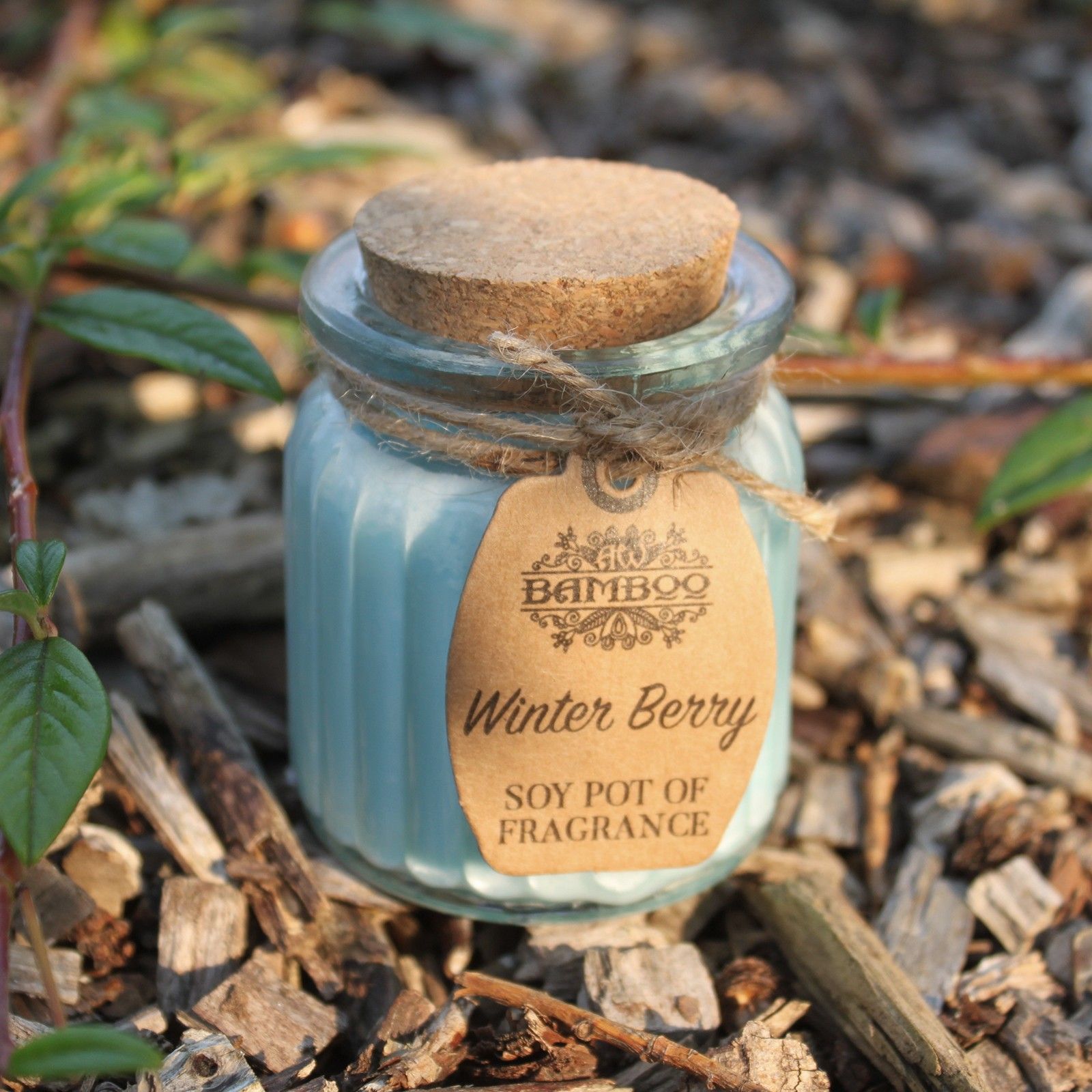 Winter Berry Soy Pot of Fragrance Candles - Image 2