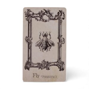 The Spellbook Oracle Cards- Witchcraft Deck