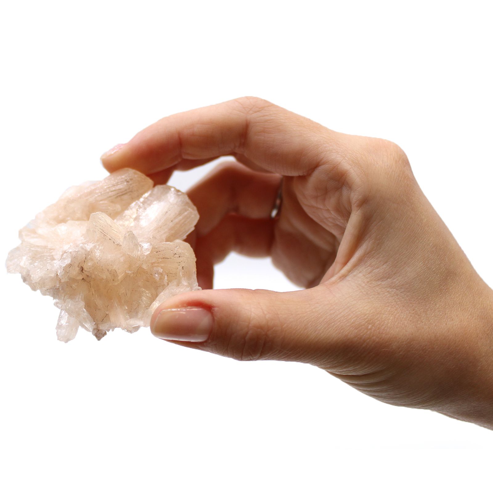 Stilbite Combination with Appophyllite 20-30mm - Image 4